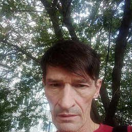 , 54, 