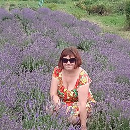 , 44 , 