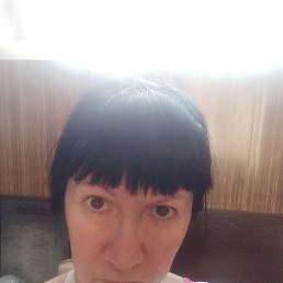 , 53, 