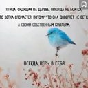 ���� ����, ���������, 64 ���� - ��������� 9 ���� 2025 � ������ ������ ��������