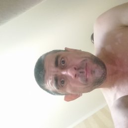 ����, ����, 41 ���