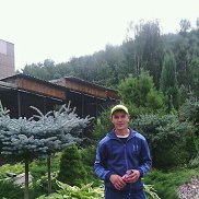 �������, 44 ����, ����������