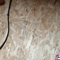 ����, ������, 40 ���