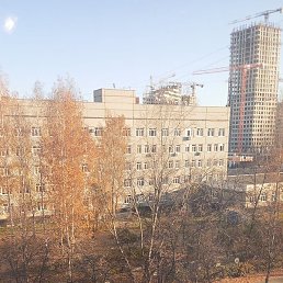 �����, ���, 44 ����