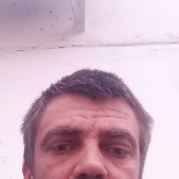 ����, 41 ���, ���������