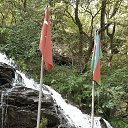 ���� ����, ������, 49 ��� - ��������� 22 ���� 2024 � ������ ���� ����������