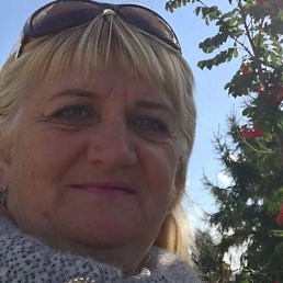 ������, ������, 52 ����