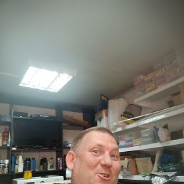 ������, ����������, 41 ���