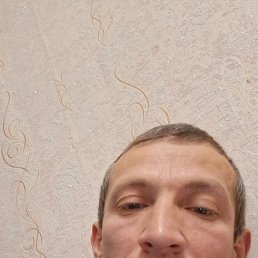 , 44, 