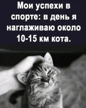  - 10  2025  08:44 - 4