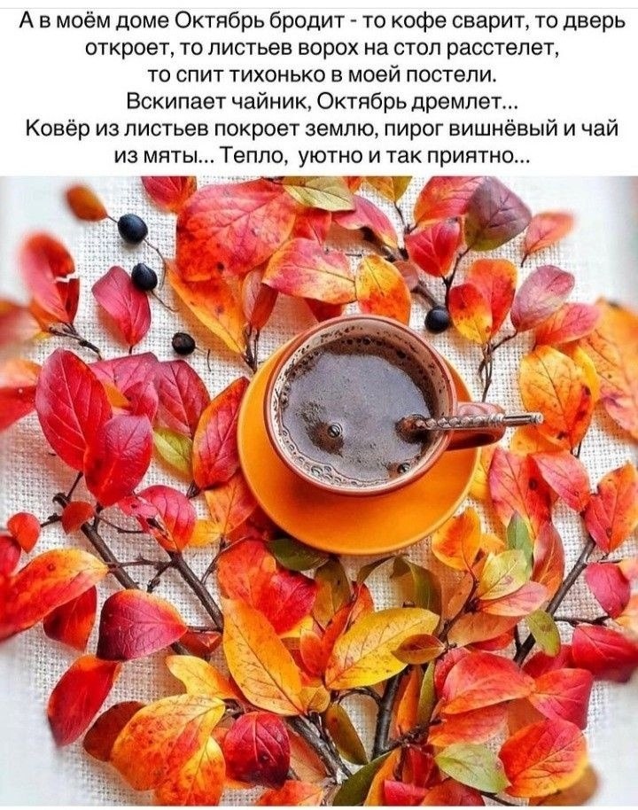   ,    . - 5  2025  23:57