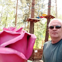 , 56 , 