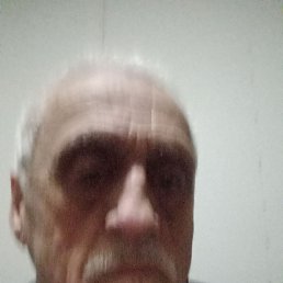 �����, 66 ���, �������