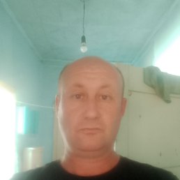 , 40, 