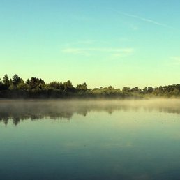 �������, �������, 39 ���