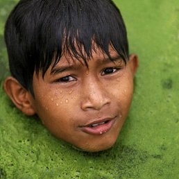 �����, ���������, 22 ����