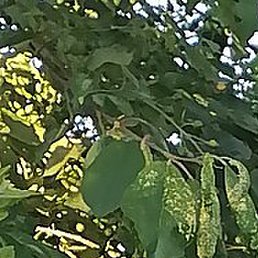 �������, ��������, 23 ����