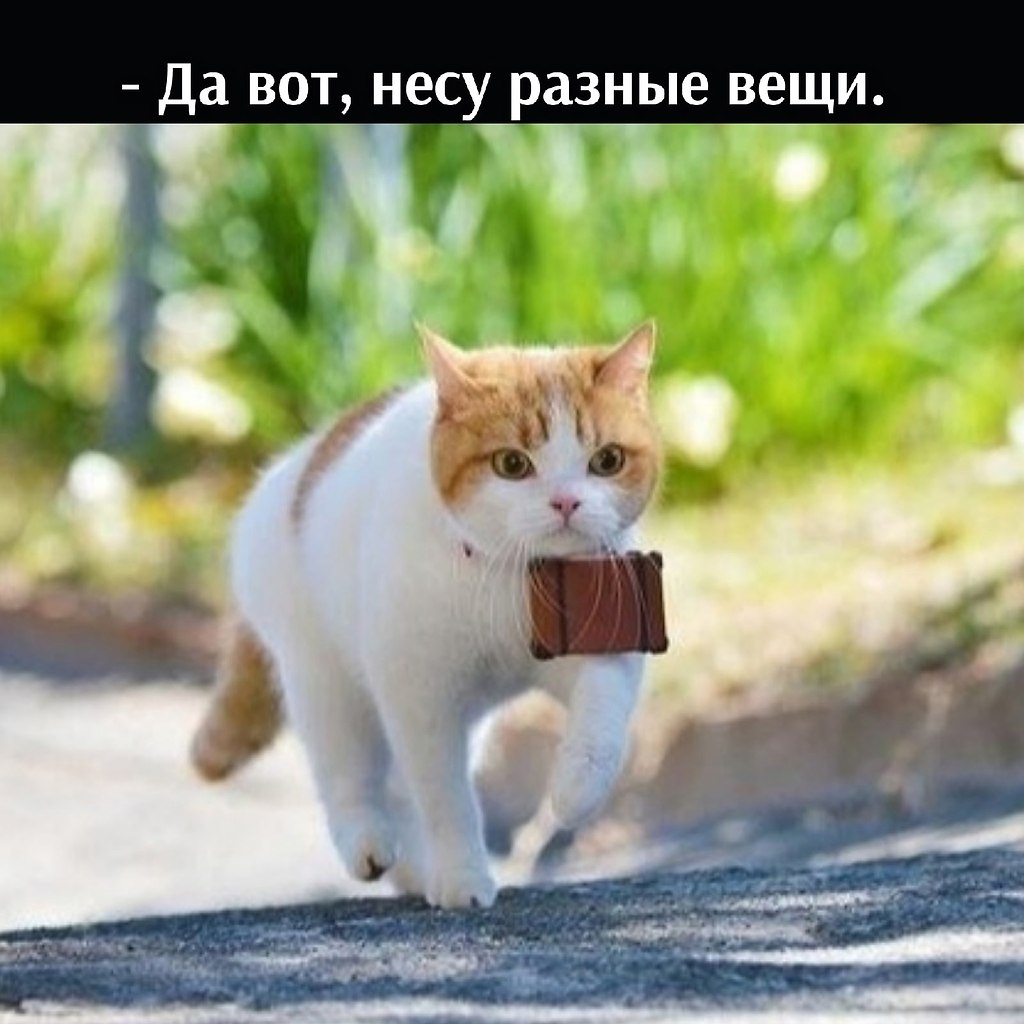       - 18  2025  15:54 - 2