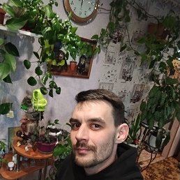 , 30, 