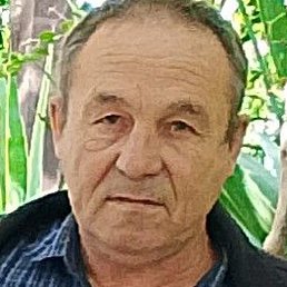 �����, ���������, 61 ���