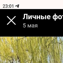 , , 43 