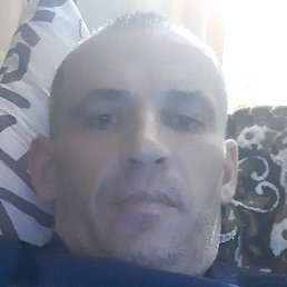 ��������, �������, 43 ����