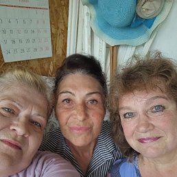 , 61, 