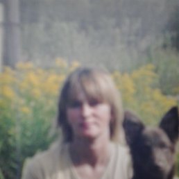 , 60, 