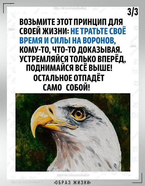 Не тратьте время и силы на то, что не стоит вашего внимания. - 3