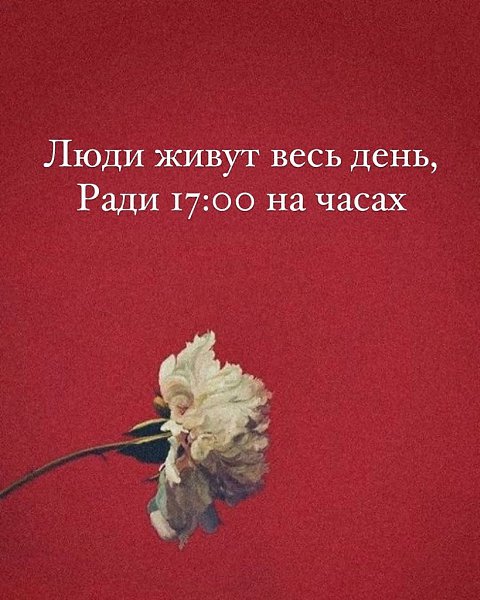 . - 29  2025  12:55