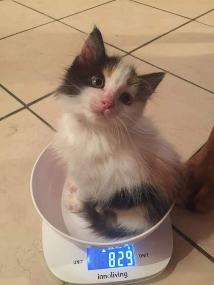 �� 