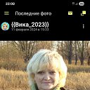 ���� ����, �������, 50 ��� - ��������� 10 ��� 2026 � ������ ���� ����������
