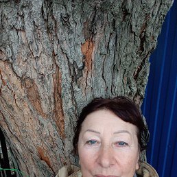 ���� ����, ���������, 68 ��� - ��������� 16 ������� 2023