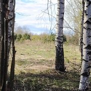 Алевтина, , Нижний Новгород Алевтина, , Нижний Новгород