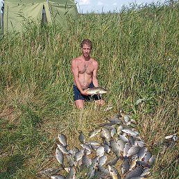 ����� �����, ������, 43 ����