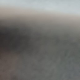 ���� �����, �����������, 41 ��� - ��������� 1 ������ 2026