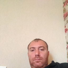 , 41, 