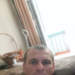 , 41, 