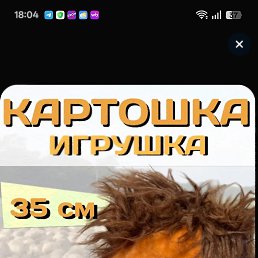 ���� �����, �����-���������, 40 ��� - ��������� 13 �������� 2026