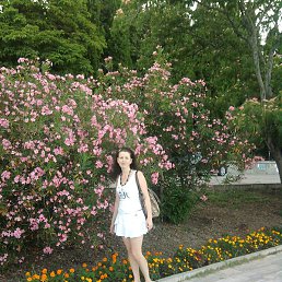 ��������, �����������, 40 ���