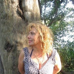 �������, �����-���������, 56 ���