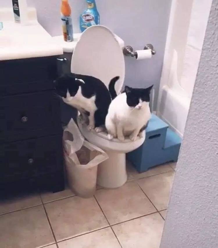 �� ���������� - 3