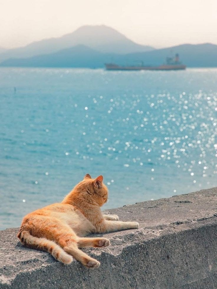             : 1. I really want to go ... - 2