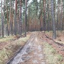 ���, ���. �����, �������� (10.11.2025) �� ������� ���������