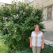 ������, 66 ���, ������