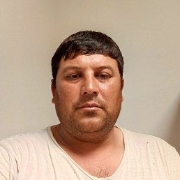 , 37, 