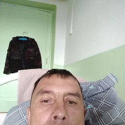 , 44, 