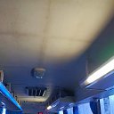 ���� ������, ������, 33 ���� - ��������� 29 ������ 2024 � ������ ���� ����������