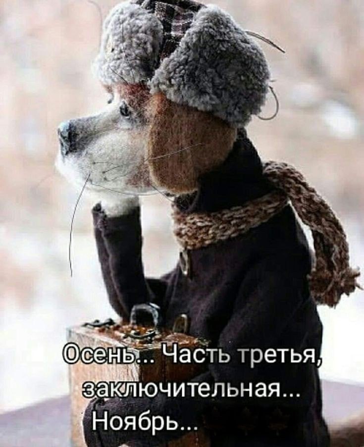   - 13  2023  22:39