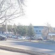 ��������, 44 ����, �����